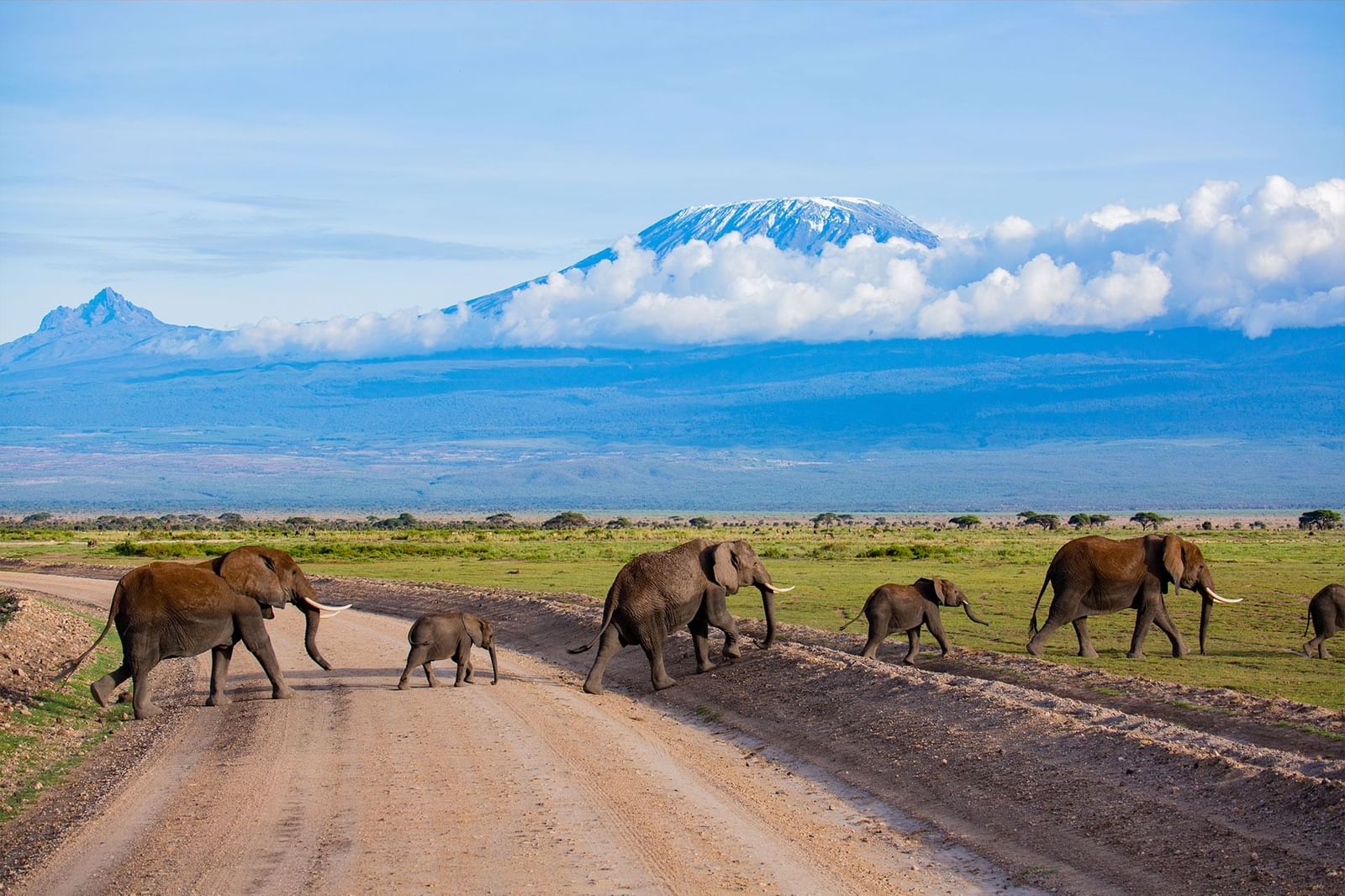 Amboseli National park