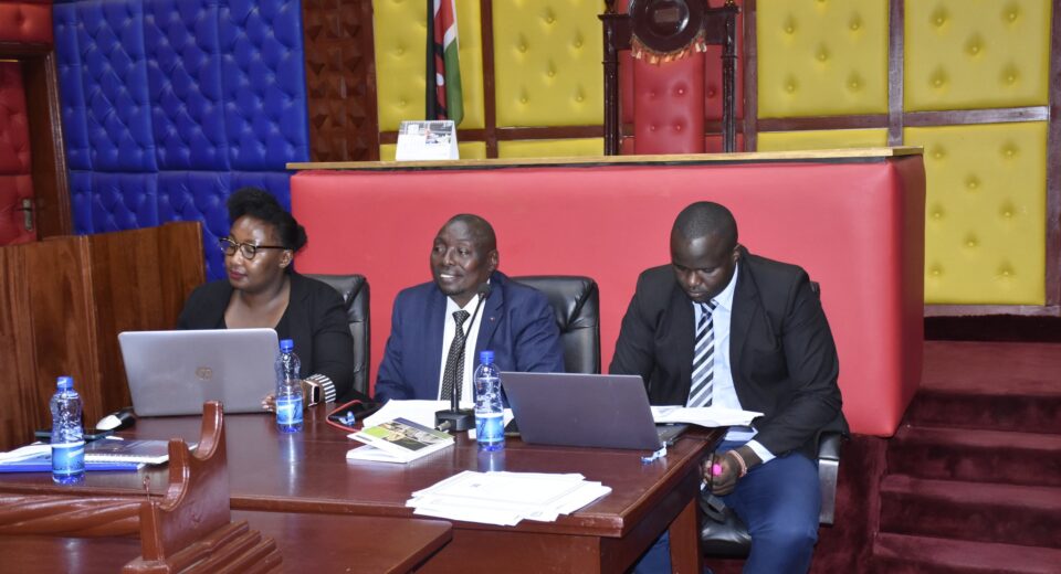 Full List of Kirinyaga County Government Ministers (CECs) - Business Radar