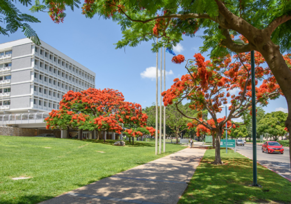 Weizmann Institute of Science