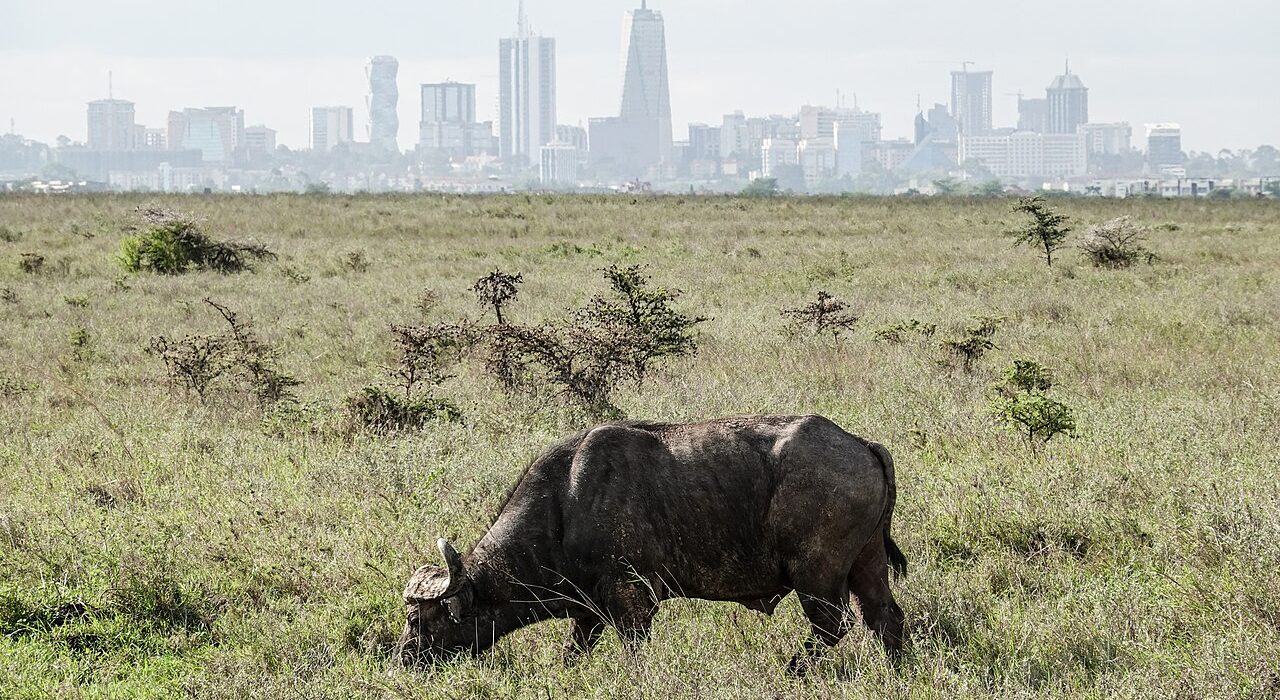AfDB and Family Bank sign $10m trade finance line for Kenyan SMEs