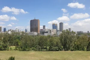 Kenya Power Blackout: How to Report an Outage and What Kenya Power Will Ask You