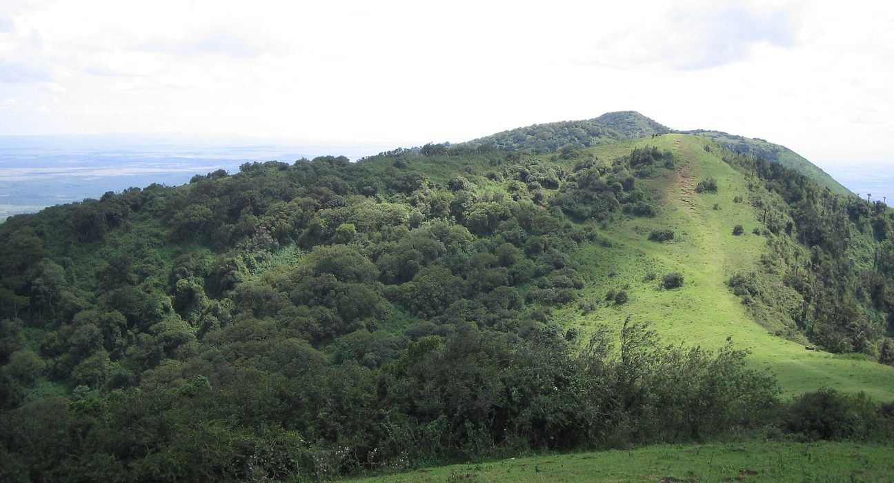 Forested slopes of the Ngong Hills near Nairobi