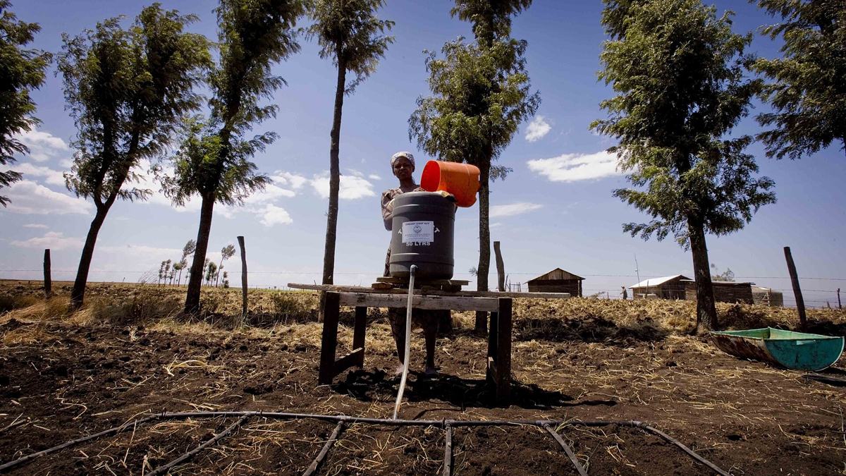 A drip irrigation kit on a small farm in Kenya