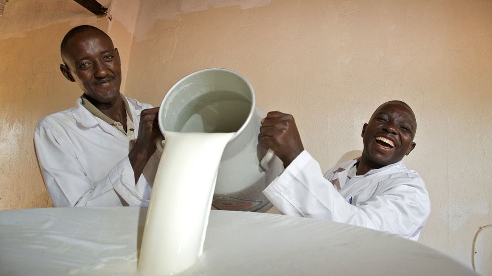 Farmers delivering milk at a dairy cooperative collection centre in Kenya